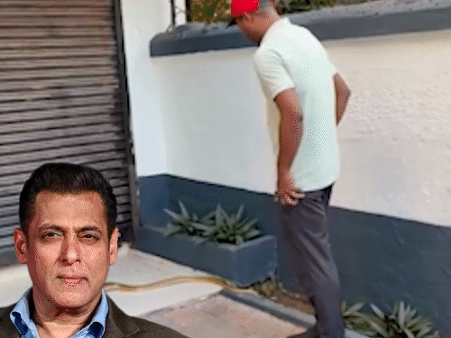 Salman Khan House Snake Video; Galaxy Apartment Rescue Photos | ACTPnews