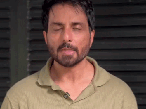 पंजाब के एक्टर सोनू स्ट्रे डॉग के लिए बनाएंगे घर:वीडियो शेयर कर कुत्तों को बताया सबसे वफादार; बोले-आर्डर रुकवाने को सब आवाज उठाएं | ACTPnews