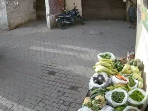 चंडीगढ़ में छत से गिरती नाबालिग लड़की का VIDEO:कपड़े सुखाने गई थी, पैर फिसलने पर दूसरी मंजिल से गिरी, जमीन पर तड़पती रही | ACTPnews