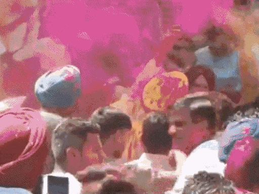 Punjab Chandigarh top news; Local Body election Result, CM Mann| scam luxury cars