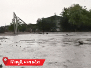 IMD Weather Rainfall Alert Photos Update; MP UP Rajasthan | ACTPnews