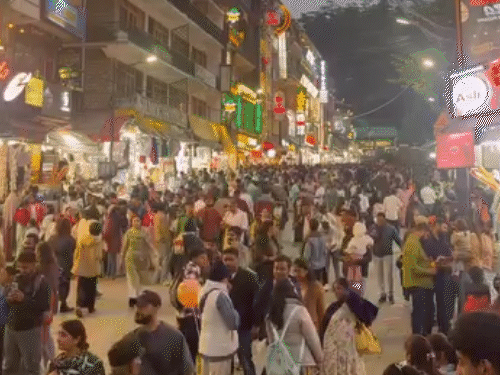 हिमाचल कूल वेदर में समर वेकेशन एंजॉय कर रहे टूरिस्ट:सैलानी ने शिमला को ‘क्वीन ऑफ हिल्स’ बताया, होटलों में ऑक्यूपेंसी 70% तक पहुंची | ACTPnews