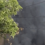 Indore EV Showroom Fire Accident Video; Apartment Rescue Operation Photos | ACTPnews