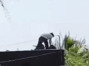 एकतरफा प्यार में लड़की पर कुल्हाड़ी से हमला…छत से लटकाया:शिवपुरी में घर में घुसकर चेहरा काटा, 15 दिन पहले रास्ते में रोका था | ACTPnews
