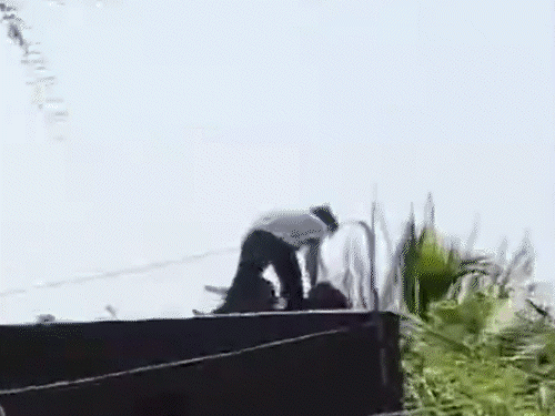 एकतरफा प्यार में लड़की पर कुल्हाड़ी से हमला...छत से लटकाया:शिवपुरी में घर में घुसकर चेहरा काटा, 15 दिन पहले रास्ते में रोका था