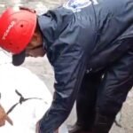 केदारनाथ पैदल मार्ग पर पहाड़ी से गिरे पत्थर:घोड़ा संचालक की मौत, राजस्थान का यात्री गंभीर घायल | ACTPnews