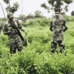 Bengal Border Verification | Migrants Returning to Bangladesh | ACTPnews