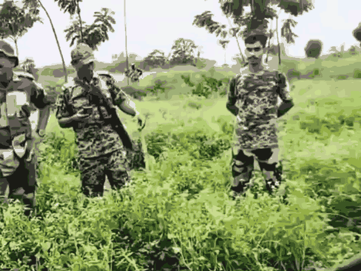 Bengal Border Verification | Migrants Returning to Bangladesh