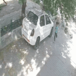Morinda Girl Dog Attack Death | ACTPnews