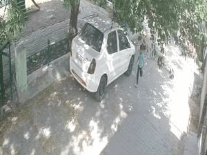 Morinda Girl Dog Attack Death | ACTPnews
