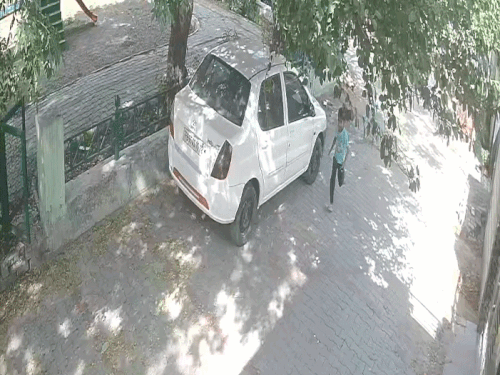 कुत्ते बच्ची के पीछे भागे हुए, इस दौरान वह बचाव-बचाव की आवाज लगाती रही।