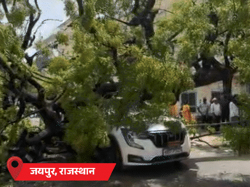 Monsoon Rainfall Photos Update; MP UP Delhi Rajasthan Kerala Weather