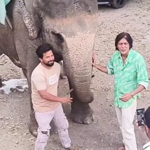 बॉलीवुड अभिनेता चंकी पांडे कॉर्बेट टाइगर रिजर्व पहुंचे:जंगल सफारी का उठाया लुत्फ, हाथी के साथ खिंचवाई तस्वीर | ACTPnews