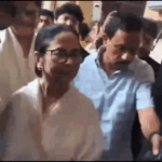 Mamata banerjee challenges bhabanipur election result calcutta high court | ACTPnews