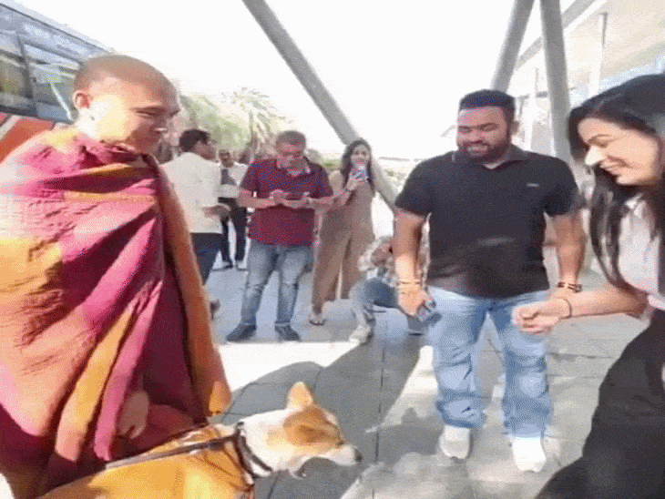 गुरुग्राम में 'पीस डॉग' आलोका से मिलने उमड़ी भीड़:3,700 किमी की पदयात्रा कर चर्चा में आया; इंस्टाग्राम पर 4.82 लाख फॉलोअर