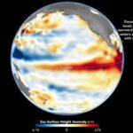 Godzilla El Nino wave in Pacific Ocean rising nasa Satellite captures | ACTPnews
