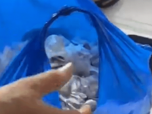 मुंबई- मुहर्रम जुलूस में 14,900 जहीरेल कैप्सूल बांटने पहुंचा शख्स:इनमें चूहे मारने वाला जहर मिलाया था, हर कैप्सूल में 1-1 ग्राम जहर था; गिरफ्तार