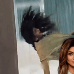 Shilpa Shetty on Shah Rukh Khans Push | ACTPnews