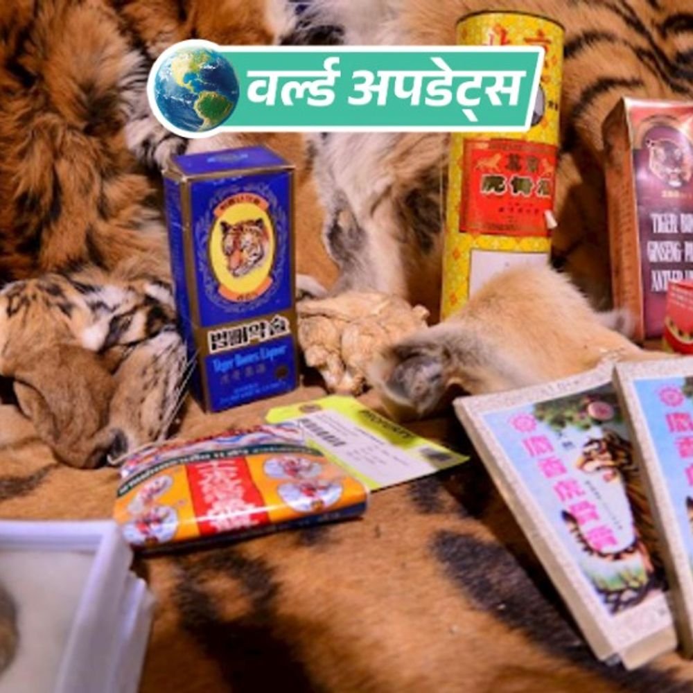 वर्ल्ड अपडेट्स:रिपोर्ट का दावा- फेसबुक बना अवैध वन्यजीव तस्करी का सबसे बड़ा ऑनलाइन बाजार