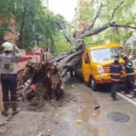 मुंबई में चलती स्कूल बस पर पेड़ गिरा:एक बच्चे की मौत, 10 घायल; स्कूल से घर लौट रहे थे छात्र | ACTPnews