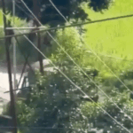 2 Assam Rifles soldiers were killed in a militant ambush in manipur | ACTPnews