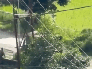 2 Assam Rifles soldiers were killed in a militant ambush in manipur | ACTPnews