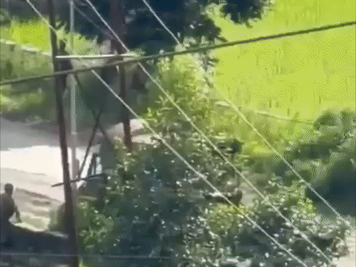2 Assam Rifles soldiers were killed in a militant ambush in manipur | ACTPnews