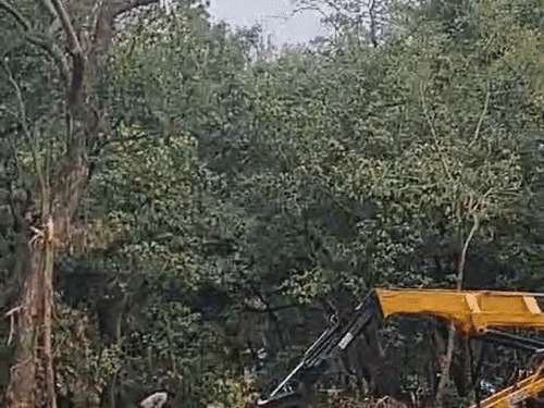 उत्तराखंड में फोरलेन प्रोजेक्ट के विरोध में मनेगा 'ब्लैक हरेला':एलीफेंट कॉरिडोर में पेड़ काटने पर उठे सवाल; पर्यावरणविद बोले- कोर्ट में मामला, फिर कटाई क्यों? | ACTPnews