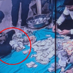 Ambaji Temple Donation Theft | Viral CCTV Footage Sparks Controversy | ACTPnews
