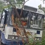 बस स्टैंड से खड़ी बस चुराकर भागा चोर, भागते वक्त पुलिस की गाड़ी समेत कई वाहनों को मारी टक्कर; वीडियो वायरल | ACTPnews