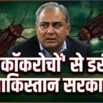 भारत के ‘कॉकरोचों’ से क्यों डरी पाकिस्तान सरकार? मंत्री बोले-ये एकजुट हुए तो सब उलट पुलट कर देंगे | ACTPnews