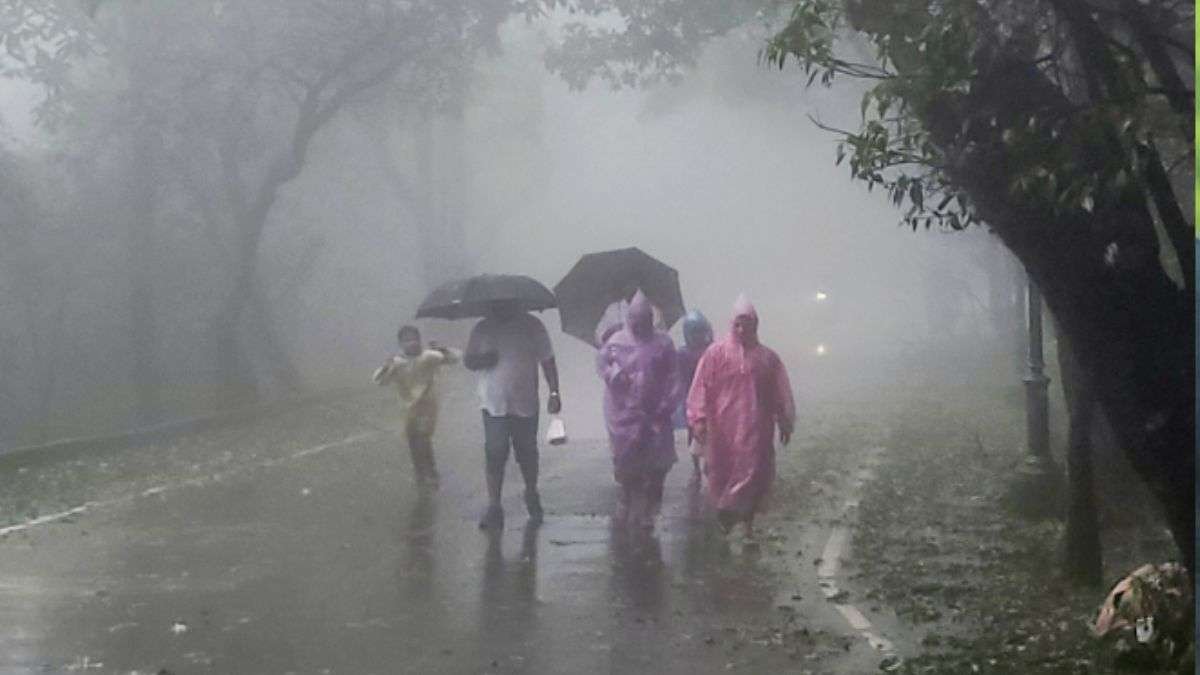 गुजरात में आज भारी बारिश का रेड अलर्ट, महाराष्ट्र से लेकर असम तक झमाझम बरसेंगे बादल; चलेगी तेज हवाएं