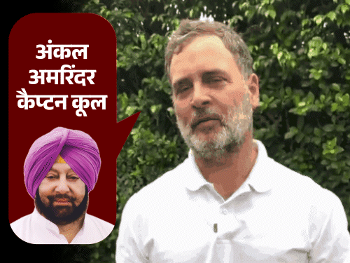 punjab chandigarh top ten news; Rahul Gandhi Names Captain Amarinder Favorite BJP Leader