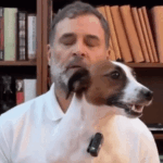 Rahul Gandhi Instagram AMA Session | ACTPnews