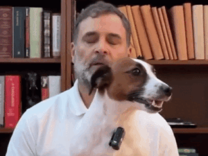Rahul Gandhi Instagram AMA Session | ACTPnews