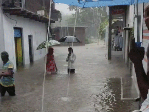 नाले में बही कार, 5 शव बरामद:गाड़ी में 11 लोग सवार थे, 2 कूदकर बाहर आए; राजगढ़ में बाकी को तलाश रही रेस्क्यू टीम