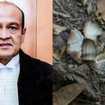 जस्टिस यशवंत वर्मा पर लगे तीनों आरोप साबित, सरकारी आवास पर भारी मात्रा में मिले थे जले और अधजले नोट | ACTPnews