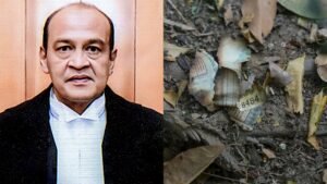 जस्टिस यशवंत वर्मा पर लगे तीनों आरोप साबित, सरकारी आवास पर भारी मात्रा में मिले थे जले और अधजले नोट | ACTPnews