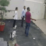 Patiala Pitbull Attack | Couple Brutally Mauled During House Visit Video | ACTPnews