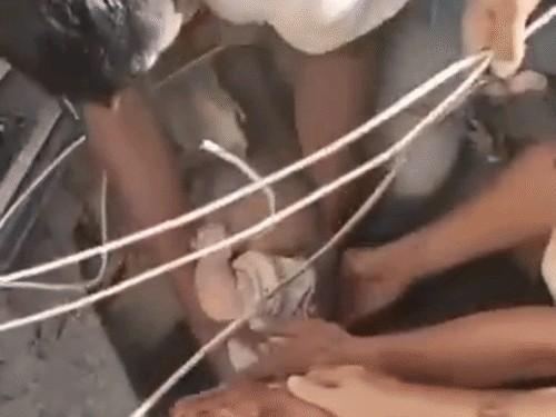 कोलंबिया के कैली शहर से एक नवजात बच्चे का रेस्क्यू किया गया। - Dainik Bhaskar