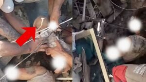 कोलंबिया में भूकंप के बाद मलबे से जिंदा निकाला गया नवजात, सामने आईं रेस्क्यू की तस्वीरें | ACTPnews