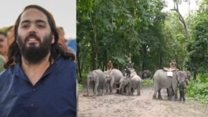 अनंत अंबानी के वनतारा ने असम की बाढ़ में फंसे हाथियों को सुरक्षित बाहर निकाला, CM हिमंता ने कहा थैंक्यू | ACTPnews