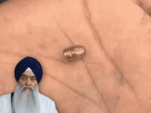 Punjab News | Akal Takht Jathedar House Firing & Sukhbir Badal Update | ACTPnews