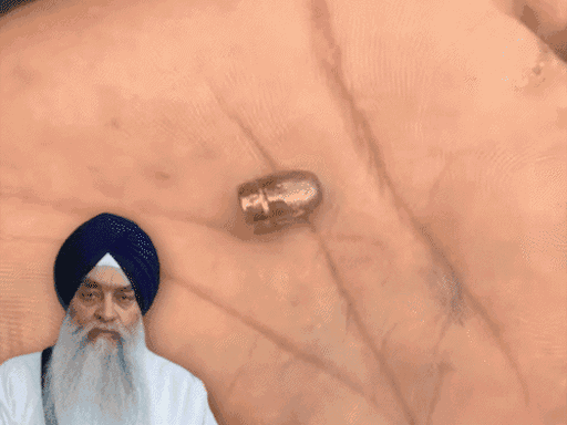 Punjab News | Akal Takht Jathedar House Firing & Sukhbir Badal Update