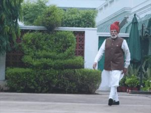 PM Modi Daily Routine | Feeding Peacocks & Cows Delhi Video | ACTPnews