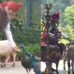 ‘दोस्त’ मोर को दिया दाना, गाय को खिलाया चारा; पीएम मोदी ने शेयर किया स्वतंत्रता दिवस का खास वीडियो | ACTPnews