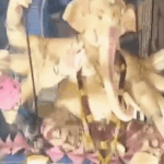 Mumbai Ganesh Idol Accident | Bhuleshwar Raja Statue Collapse Death Update | ACTPnews