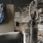 Amravati Hospital NICU Fire | Ventilator Blast Causes Infant Deaths | ACTPnews