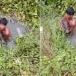 जब जंगली सूअर से अकेले ही भिड़ गया 14 साल का बच्चा, कायम कर दी बहादुरी की मिसाल | ACTPnews