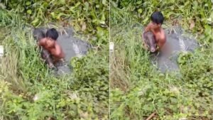 जब जंगली सूअर से अकेले ही भिड़ गया 14 साल का बच्चा, कायम कर दी बहादुरी की मिसाल | ACTPnews